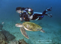 Diver with Turtle, Muscat, Oman. Nikonos RS, UW-Zoom 20-3... by Frank Schneider 